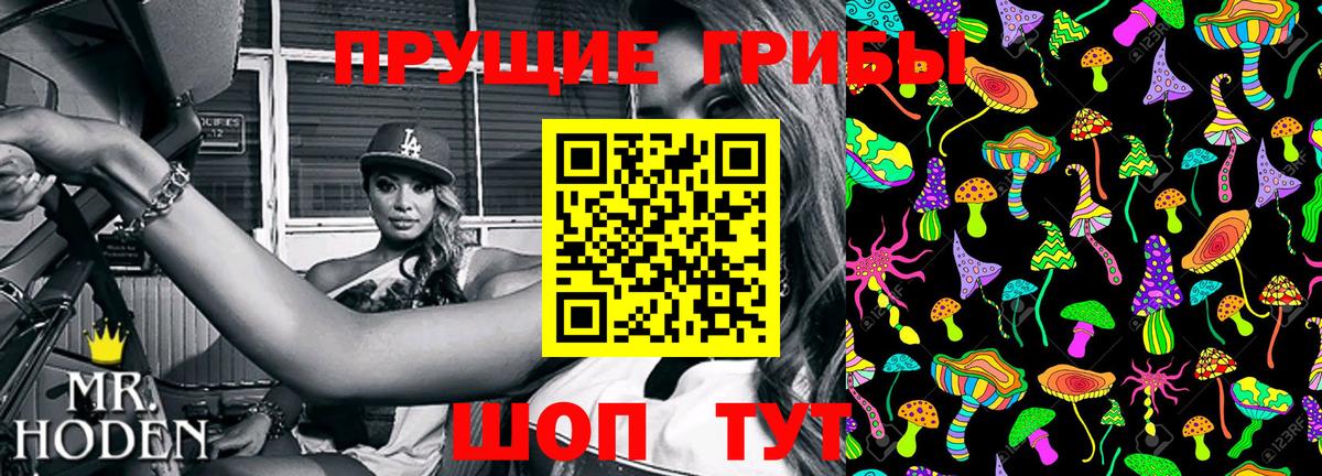 Псилоцибиновые грибы прущие грибы Туапсе